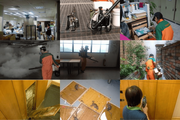 環境除蟲 - 京錡環境衛生清潔網